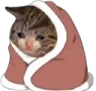 blanket_cat
