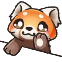 redpanda_bongo