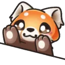 redpanda_bongo2