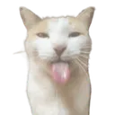 Bleh