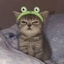 CattoTired Discord emoji