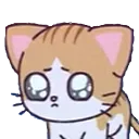 LCaLizzyPleadingCry_Dipity