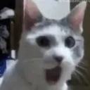 confuzzledconfusedbanana