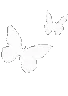 white_butterflies