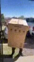 box_dance