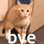 Bye