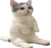 cats_fire1