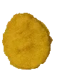 holy_nugget