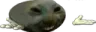 xddshrug