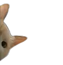 peek