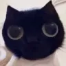 goobercatstare