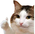 GG_thumbsup