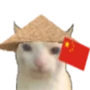 Cat_china