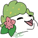 shaykek