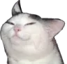 smug_cat Discord Emoji
