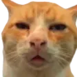 huh