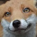 smugfops