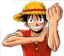 luffy_flex