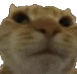 Nono