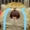 reeee