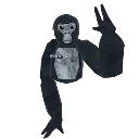 gorillawave