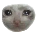 4BKcry 4BKcry