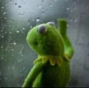damn_kermit