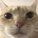 emoji_1