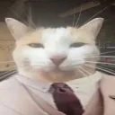 verygoodcat