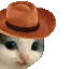 meowdy