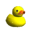 TheDuck