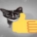 Cat Thumbsup cat_thumbsup Discord Emoji