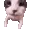 catKISS