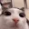 catwtf