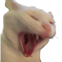 AU_catscream Discord emoji