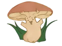 boletushappy