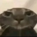 aagemscavemakingmelosemyshitagai