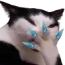 CatBlushySlay
