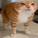 __ __