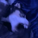 RAAAAAAGH