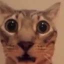 what
