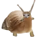 snat snat