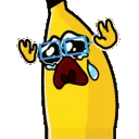 hyperPisscry