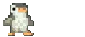 penguin1