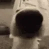SNIFFA