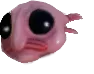 SadBob