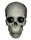 hdgoofyahhskull