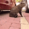 catrage