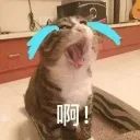 crycat
