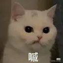 angry